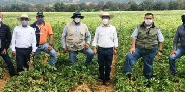 Gobierno de Michoacán refrenda respaldo a productores de papa