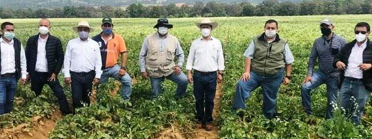 Gobierno de Michoacán refrenda respaldo a productores de papa