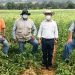 Gobierno de Michoacán refrenda respaldo a productores de papa