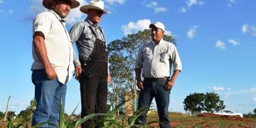 Refrenda Agricultura Sustentable efectividad productiva en cultivos