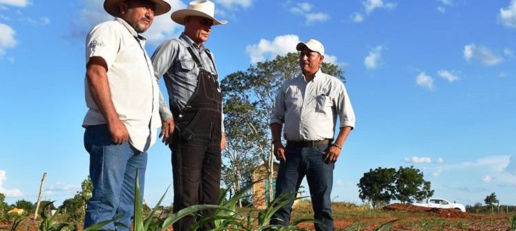 Refrenda Agricultura Sustentable efectividad productiva en cultivos