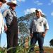 Refrenda Agricultura Sustentable efectividad productiva en cultivos