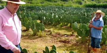 Urge revertir la escasez de agua  en el campo: Valentín Rodríguez