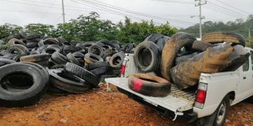 Michoacán, sin casos de zika y chikungunya