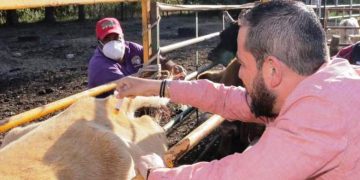 Humberto González respalda a ganaderos