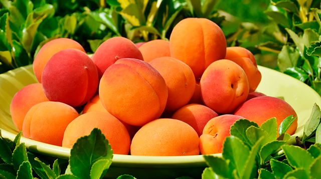 Crece 31 por ciento el valor del durazno michoacano en cuatro años