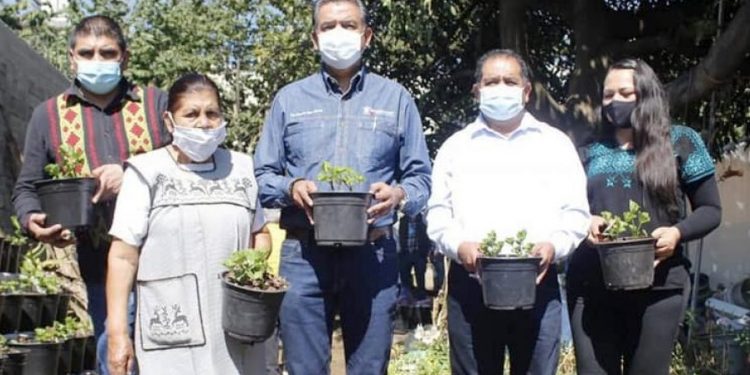 Entrega Lupillo Aguilera apoyos a productoras de geranio en Tingambato