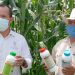 Agricultura Sustentable, exitosa política pública en Michoacán