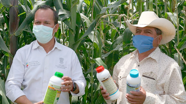 Agricultura Sustentable, exitosa política pública en Michoacán