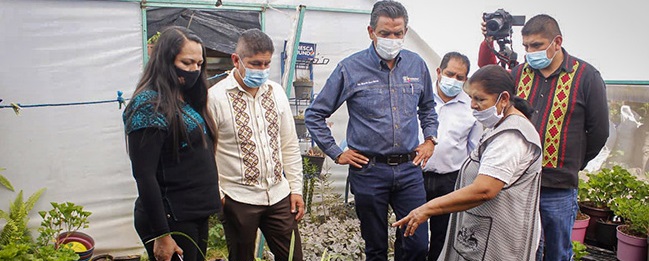 Entrega Lupillo Aguilera apoyos a productoras de geranio en Tingambato