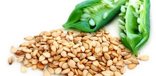 Michoacán, 4° productor nacional de ajonjolí