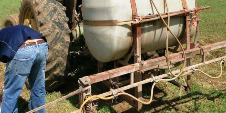 Más forraje y menor inversión, logra Agricultura Sustentable en cultivo de avena