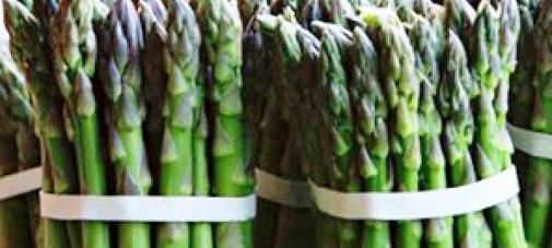 Produce Michoacán mil 899 toneladas de espárrago