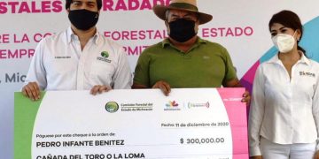 Más de 300 hectáreas forestales se recuperarán en Lázaro Cárdenas