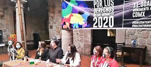 En el día internacional de los derechos de los animales, ratifica María Chávez, será Ley, prisión por maltrato animal en México
