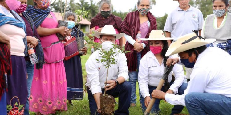 En el Día Mundial del Suelo, Agricultura Sustentable le rinde honor al recuperar la fertilidad