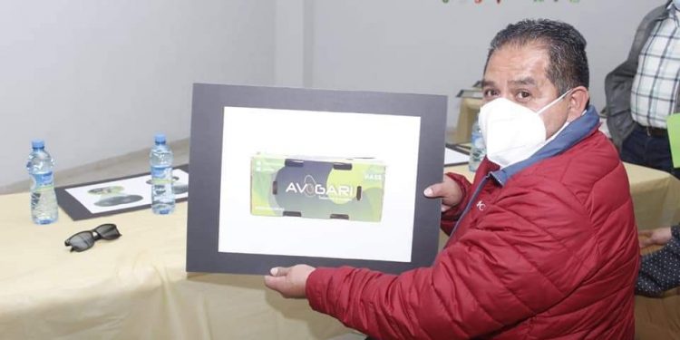 Con apoyo de Sedeco y Lupillo Aguilera, aguacateros de Tingambato logran marca para exportar