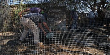 Incentivadas 13 granjas de lombricomposta en Puruándiro