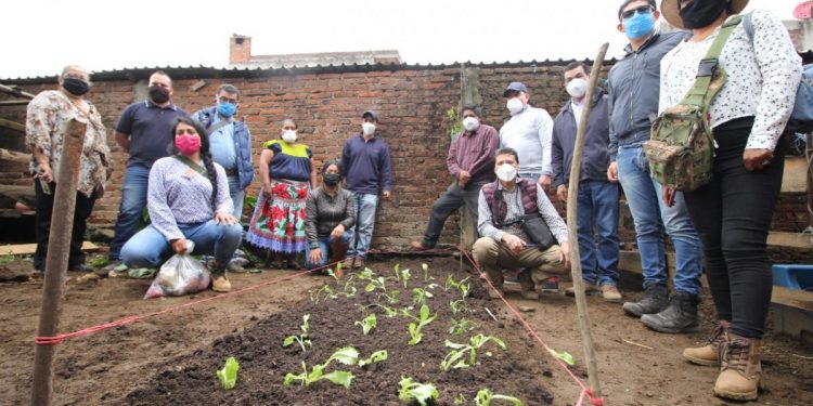 Extremar medidas ante COVID-19, llamado de Sedrua a sector agroalimentario