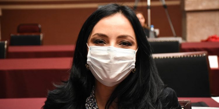 Solidaridad y apoyo para los  michoacanos: Adriana Hernández