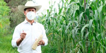 Consolidar el Programa de Agricultura Sustentable, meta 2021 en Michoacán