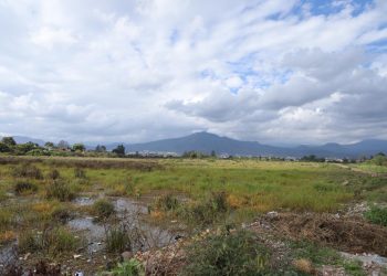 Trabajan autoridades y ciudadanía para la recuperación del Parque Urbano Ecológico Uruapan