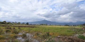 Trabajan autoridades y ciudadanía para la recuperación del Parque Urbano Ecológico Uruapan