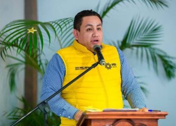 Ciudadanía y fuerzas políticas vamos por un gobierno donde todos los sectores se sientan representados: PRD Michoacán