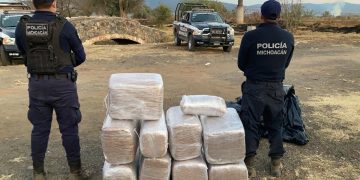 Asegura SSP a uno en posesión de 118 kilos de marihuana