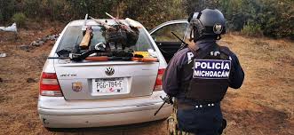 En Operación Conjunta Michoacán se destruyó un campamento y se aseguraron 4 escopetas, 31 cartuchos, así como un vehículo