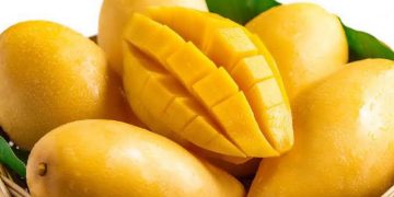 Exportar más de 84 mil toneladas de mango, meta 2021 en Michoacán: Sedrua