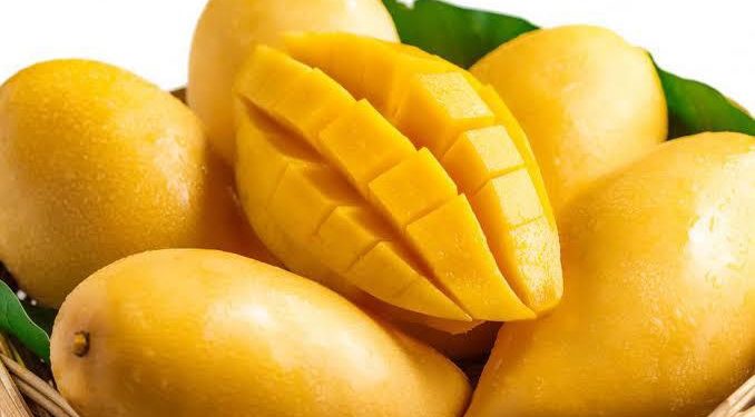 Exportar más de 84 mil toneladas de mango, meta 2021 en Michoacán: Sedrua