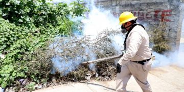 Mantiene SSM acciones de saneamiento para combatir el dengue en el estado