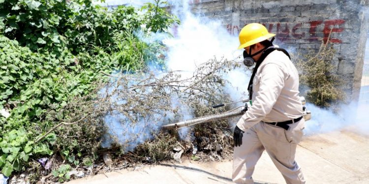 Mantiene SSM acciones de saneamiento para combatir el dengue en el estado