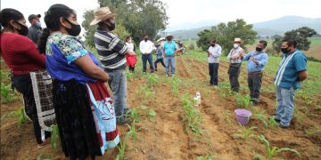 Agricultura Sustentable, el programa más exitoso del agro en Michoacán