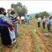 Agricultura Sustentable, el programa más exitoso del agro en Michoacán