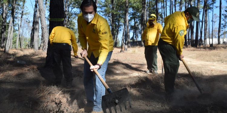 Inician las jornadas de prevención contra incendios forestales