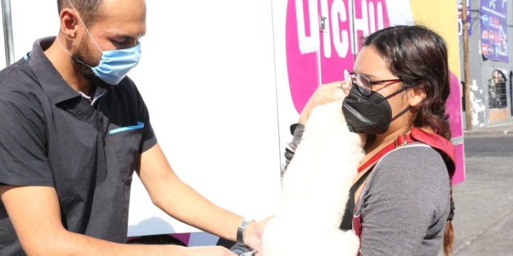 Más de 100 perros y gatos fueron esterilizados en enero