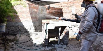 Más de 100 mil acciones para el combate del dengue en lo que va del año