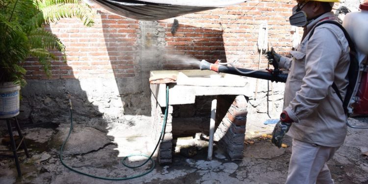 Más de 100 mil acciones para el combate del dengue en lo que va del año