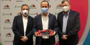 Produce Michoacán más de 9.5 millones de toneladas de frutos