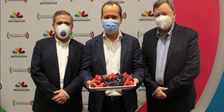 Produce Michoacán más de 9.5 millones de toneladas de frutos
