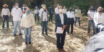 Agricultura moderna en Michoacán, gracias a los agrónomos