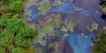 Michoacán, distinguido con 9 humedales naturales