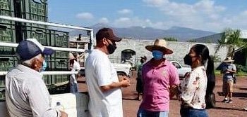 Productores, limoneros y empresarios buscan integrarse al proyecto de Morena en Apatzingán