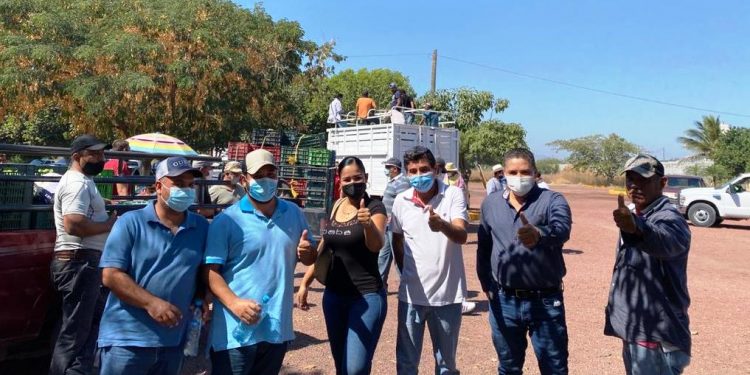 Citricultores piden a Morena claras propuestas para el sector y anuncian sumarse a la 4T