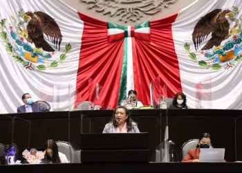Congreso de la Unión aprueba iniciativa de Ley Federal Apícola propuesta por María Chávez Pérez