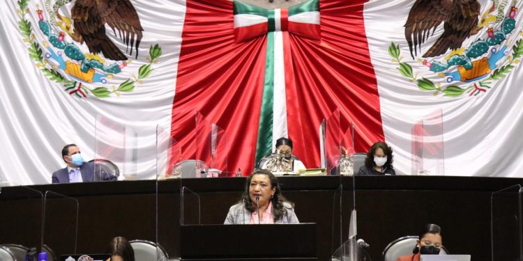 Congreso de la Unión aprueba iniciativa de Ley Federal Apícola propuesta por María Chávez Pérez