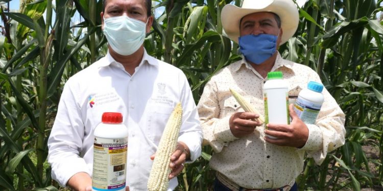 Agricultura Sustentable, el programa que revoluciona el agro michoacano