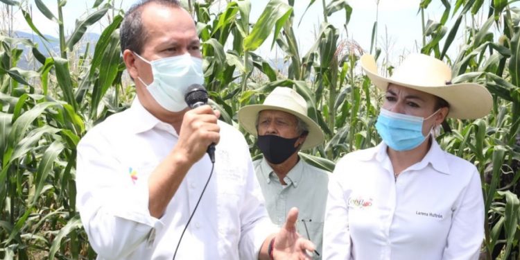 En Sixto Verduzco, productores comprometidos con Agricultura Sustentable